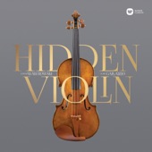 Hidden Violin artwork