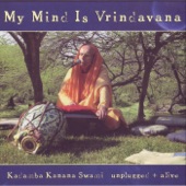 My Mind Is Vrindavan (Unplugged + Alive) artwork