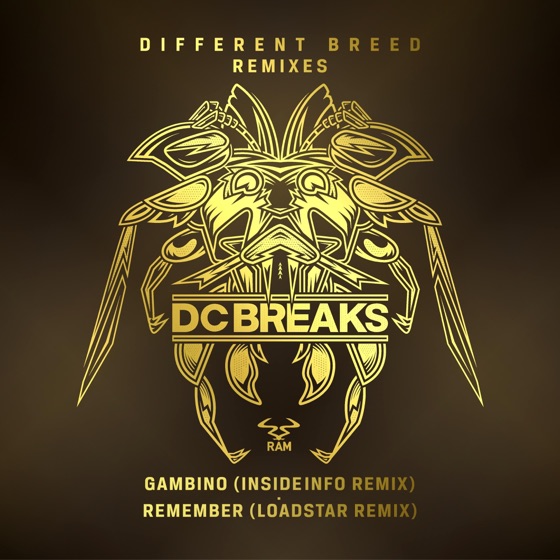 Cover artwork for Remember
