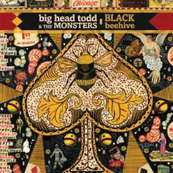 Black Beehive (Deluxe Edition) - Big Head Todd and The Monsters