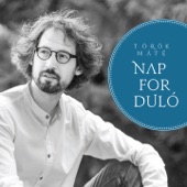 Napforduló artwork