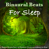 Binaural Beats For Sleep (Ambient Sleeping Music and Rainforest Thunderstorm Sounds For Sleep) - Binaural Beats, Binaural Beats Sleep & Binaural Beats Experience