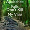 Don't Kill My Vibe - Apalachee Falls lyrics