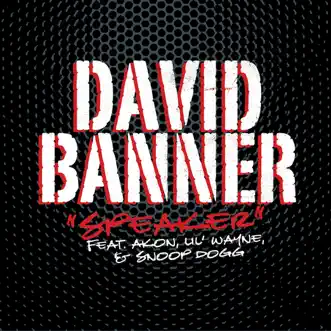 Speaker (feat. Akon, Lil Wayne & Snoop Dogg) by David Banner song reviws