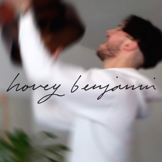 Cover artwork for I Dropped a Pick in My Guitar