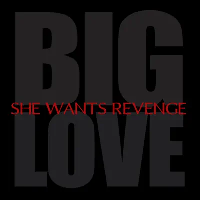 Big Love - Single - She Wants Revenge