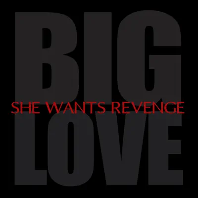 Big Love - Single - She Wants Revenge