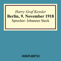 Harry Graf Kessler - Berlin, 9. November 1918 artwork