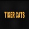 Hamilton Tiger-Cats (feat. Ace of Spade) - Kendal Untamed lyrics