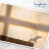 Songbirds - Single