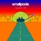 Passenger Side (Grizfolk Remix) - Smallpools lyrics