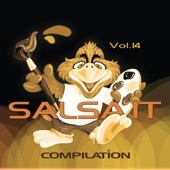 Salsa It Compilation, Vol. 14 artwork