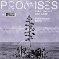 Calvin Harris, Sam Smith - Promises (David Guetta Extended Remix) artwork