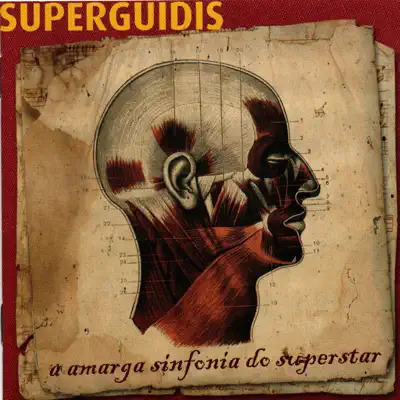 A Amarga Sinfonia do Superstar - Superguidis