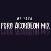 Puro Acordeon Mix artwork