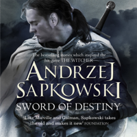 Andrzej Sapkowski - Sword of Destiny artwork