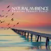 Natural Ambience: Relaxing Therapy Songs, Yoga Meditation, Spa, Massage, Soothing Sounds for Sleep album lyrics, reviews, download