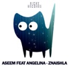 Znaishla (feat. Angelina) - Single