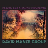 110 Blues by David Nance Group
