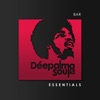 Déepalma Soul Presents: Bar Essentials (25 Deep Soulful House Gems)