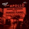 Try Me (Live At the Apollo Theater/1962) artwork
