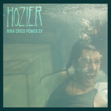 Nina Cried Power artwork
