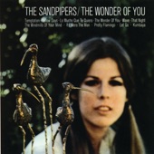 The Sandpipers - The Windmills Of Your Mind