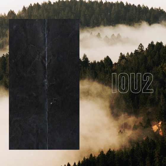 Cover artwork for Flaws