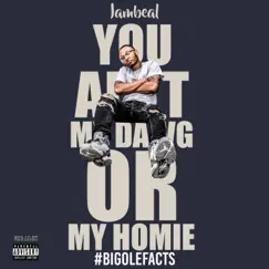 Big Ole Facts - Single by Iambeal album reviews, ratings, credits