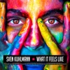 Sven Kuhlmann - What It Feels Like (Extended Mix)