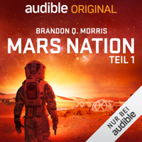 Brandon Q. Morris - Mars Nation 1 artwork