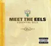 Meet the Eels - Essential Eels, Vol. 1 (1996-2006) [Audio Version] album lyrics, reviews, download