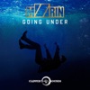 Going Under - Single