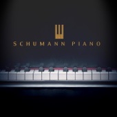 Schumann Piano artwork