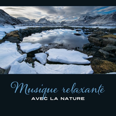 Moment De Quietude Apaisante Nature Musique Oasis Shazam