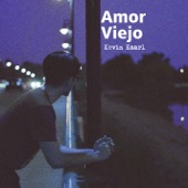 Amor Viejo artwork