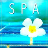 Spa Music For Massage, Healing, Wellness, Yoga, Meditation and Relaxation artwork