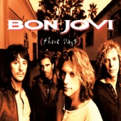 Bon Jovi - If That's What It Takes