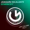 Stream & download Somebody (Leo Falconi Remix) - Single