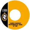 Cameo Parkway Instrumental Gems Of 1966, 2016