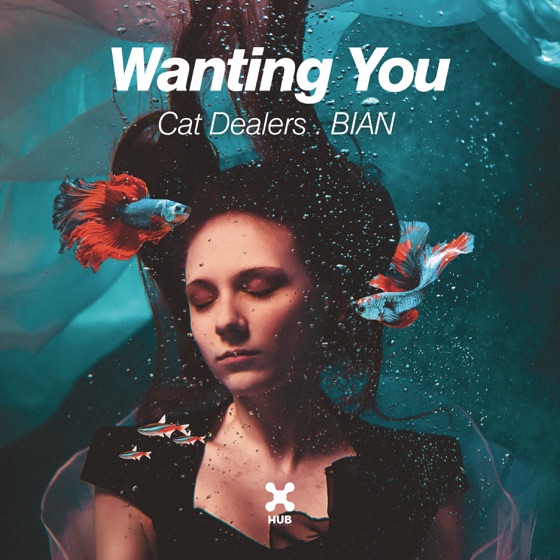 Cover artwork for Wanting You