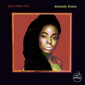 Already Knew (feat. Mike City) artwork