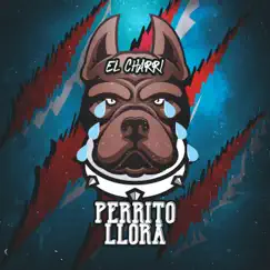 Perrito Llora - Single by El Charri album reviews, ratings, credits