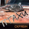 Птахи, 1995