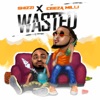 Wasted - Single