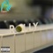Rolly (feat. Myth1k & RexLeoRyan) - Surprise Attack lyrics