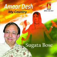 Sugata Bose - Amaar Desh artwork
