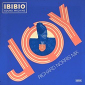Joy - Richard Norris Mix artwork
