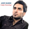 Amin Habibi - Engar Na Engar