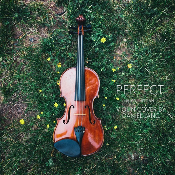 Cover artwork for Perfect